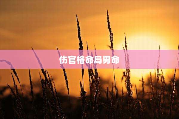 伤官格命局男命
