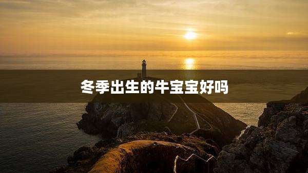 冬季出生的牛宝宝好吗