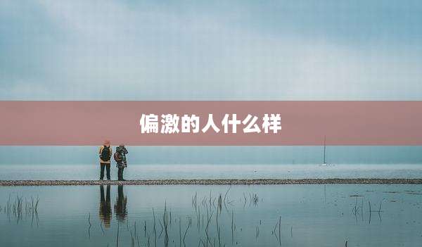 偏激的人什么样