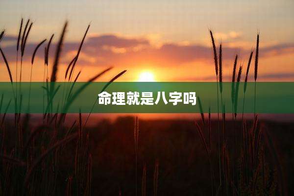 命理就是八字吗