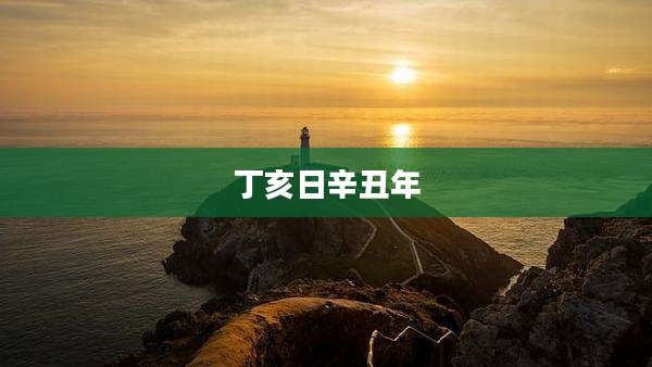 丁亥日辛丑年