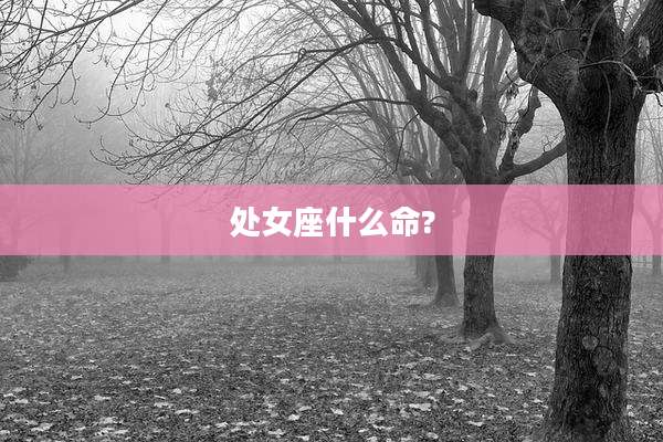 处女座什么命?