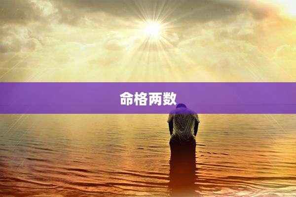 命格两数