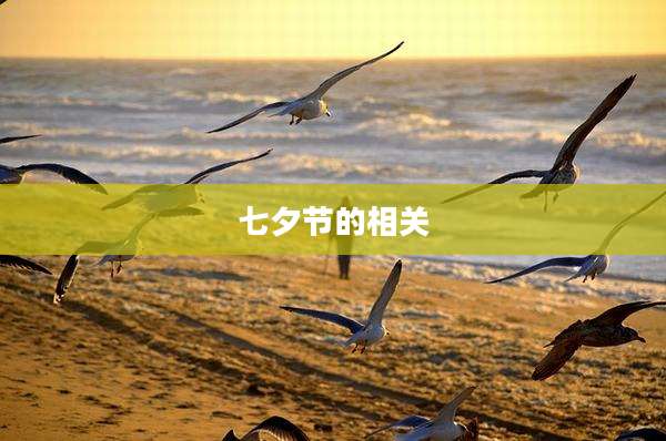 七夕节的相关