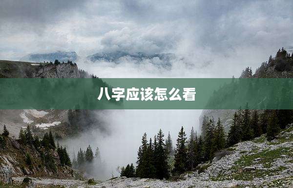 八字应该怎么看