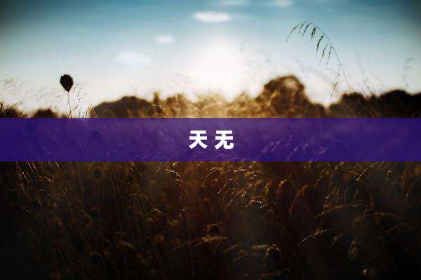 天 无