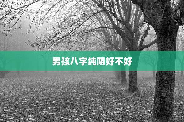 男孩八字纯阴好不好