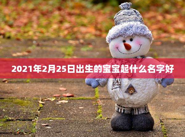 2021年2月25日出生的宝宝起什么名字好