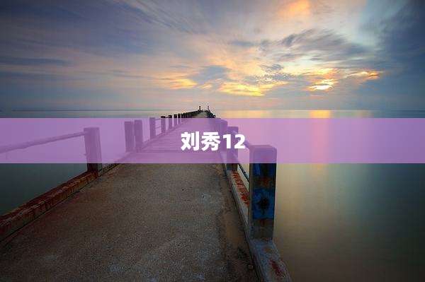 刘秀12
