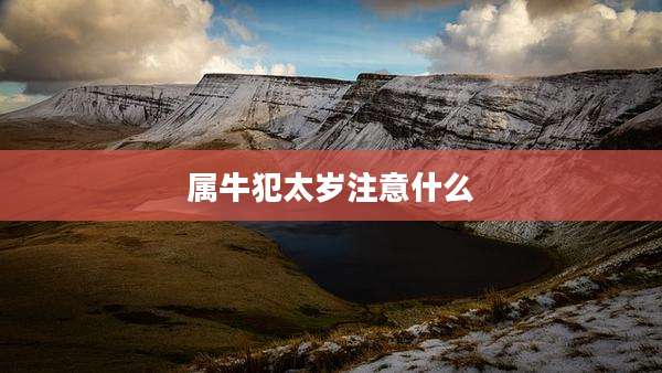 属牛犯太岁注意什么