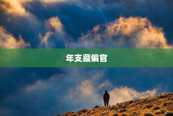 年支藏偏官