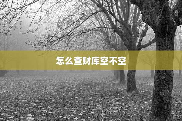 怎么查财库空不空