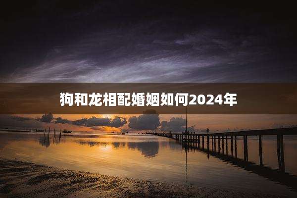 狗和龙相配婚姻如何2024年