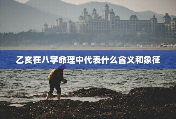 乙亥在八字命理中代表什么含义和象征