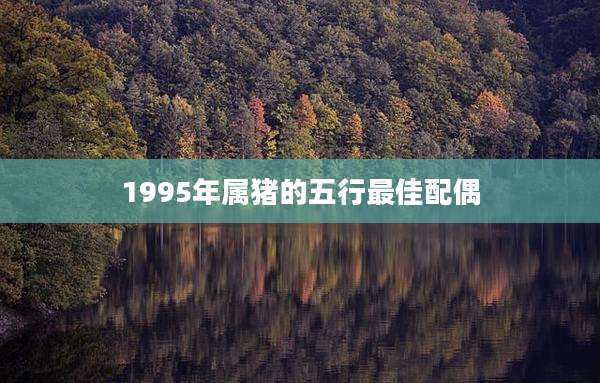 1995年属猪的五行最佳配偶