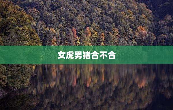女虎男猪合不合