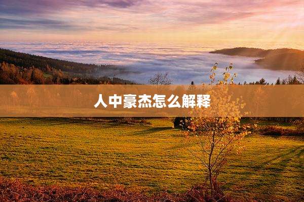 人中豪杰怎么解释