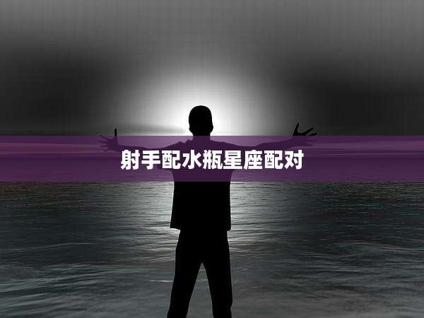 射手配水瓶星座配对