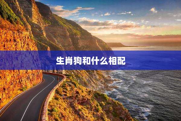生肖狗和什么相配
