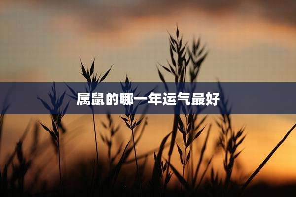 属鼠的哪一年运气最好