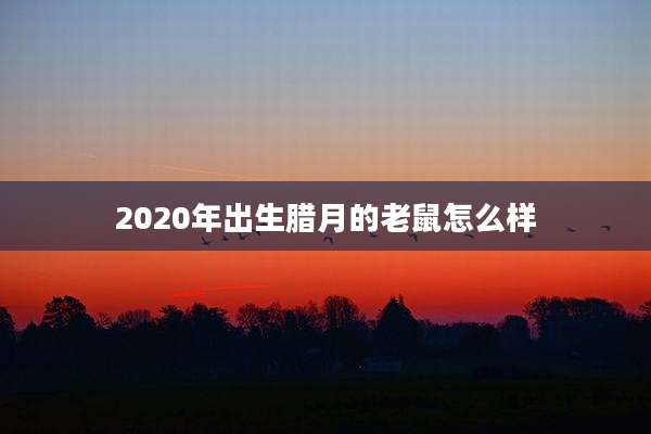 2020年出生腊月的老鼠怎么样