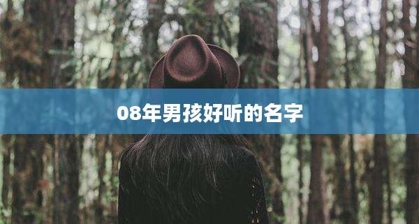 08年男孩好听的名字