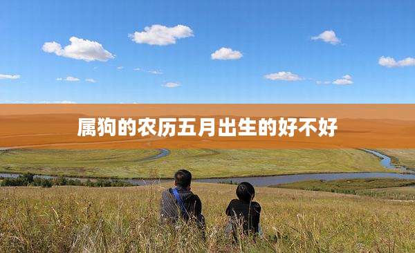 属狗的农历五月出生的好不好