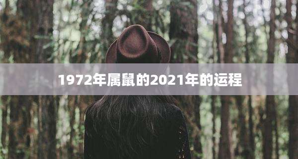 1972年属鼠的2021年的运程