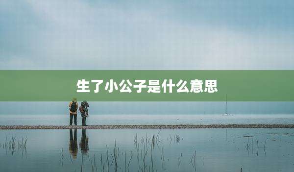 生了小公子是什么意思