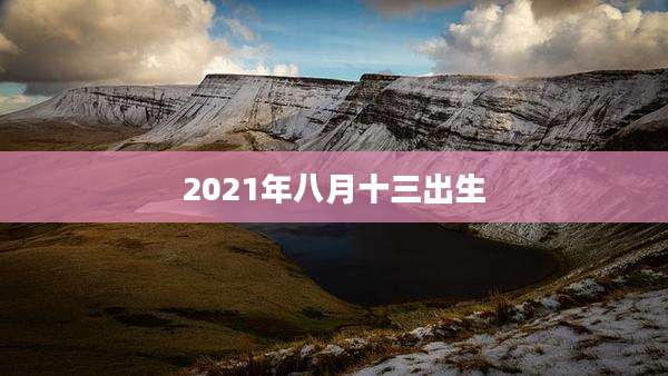 2021年八月十三出生