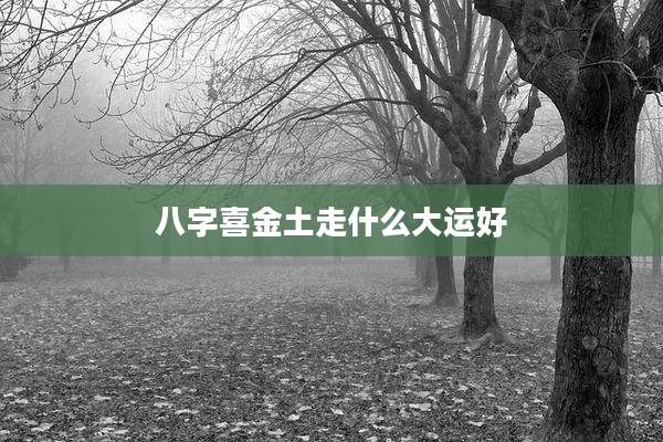 八字喜金土走什么大运好