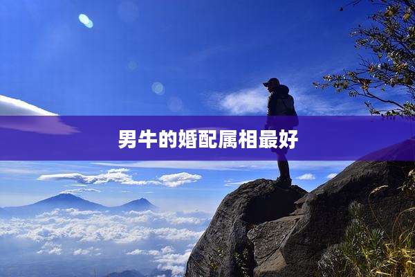 男牛的婚配属相最好