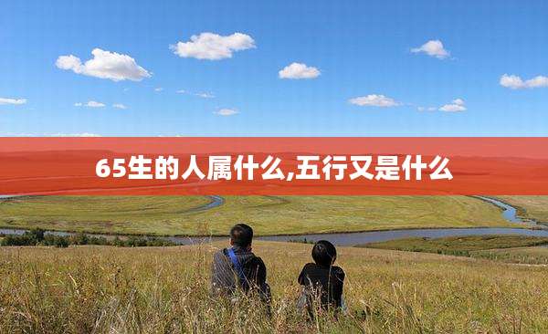 65生的人属什么,五行又是什么