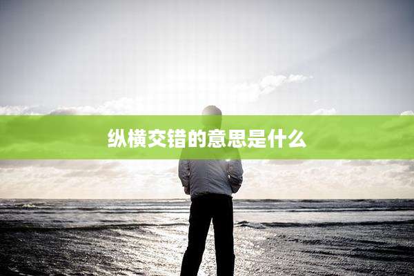 纵横交错的意思是什么