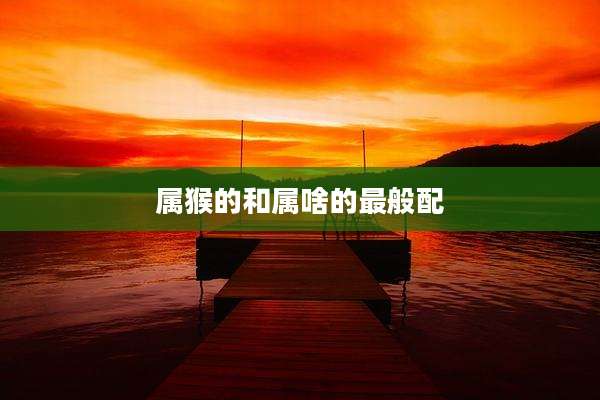 属猴的和属啥的最般配