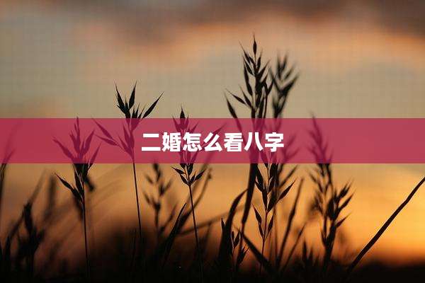 二婚怎么看八字