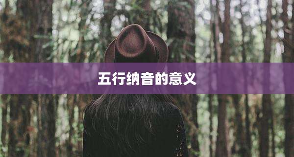 五行纳音的意义