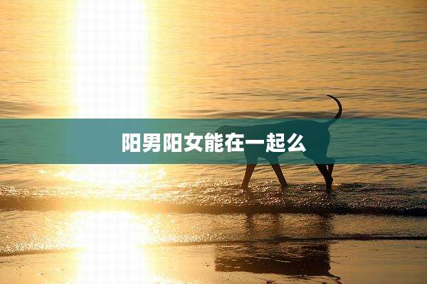 阳男阳女能在一起么
