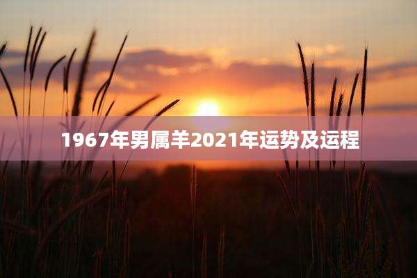 1967年男属羊2021年运势及运程