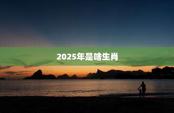 2025年是啥生肖