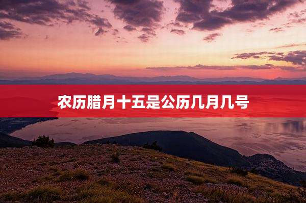 农历腊月十五是公历几月几号