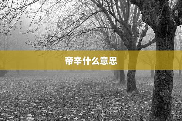 帝辛什么意思