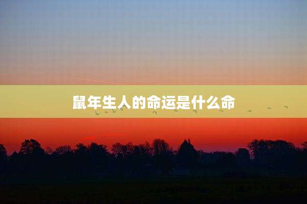 鼠年生人的命运是什么命
