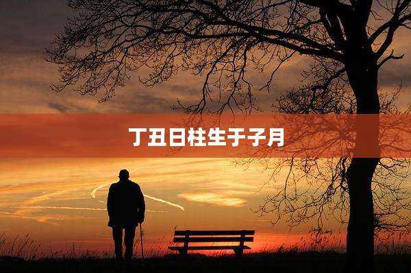 丁丑日柱生于子月