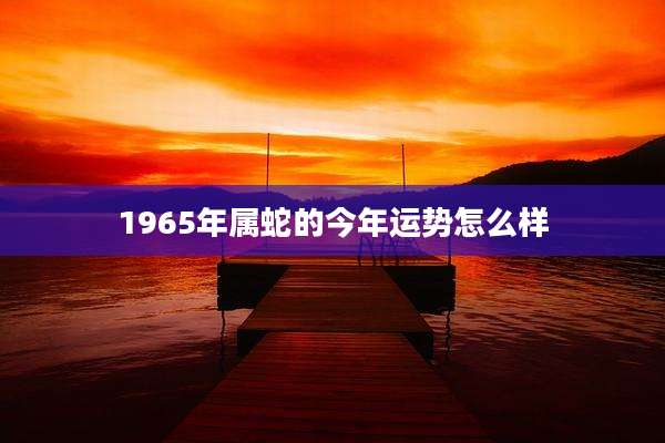 1965年属蛇的今年运势怎么样