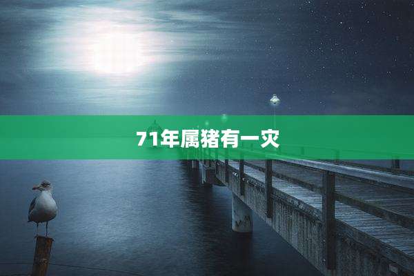 71年属猪有一灾