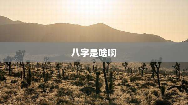 八字是啥啊