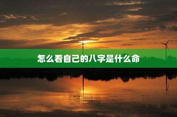 怎么看自己的八字是什么命