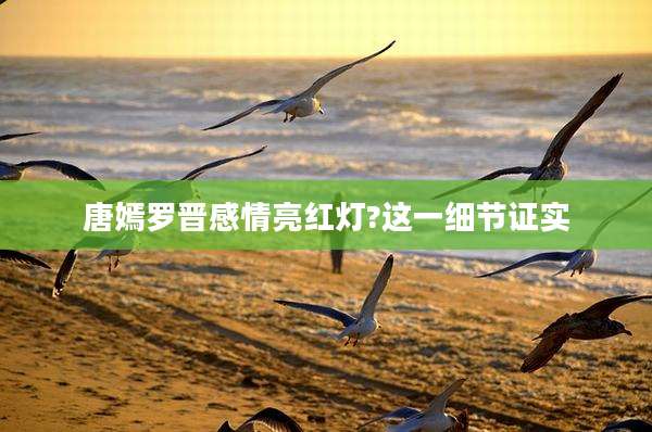 唐嫣罗晋感情亮红灯?这一细节证实