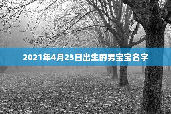 2021年4月23日出生的男宝宝名字